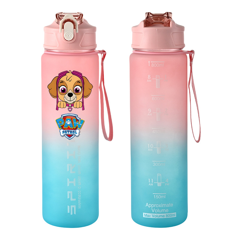 800ml PAW Patrol Sport Waterfl - Kids Outdoor Kitchen Accessories recensie en prijs